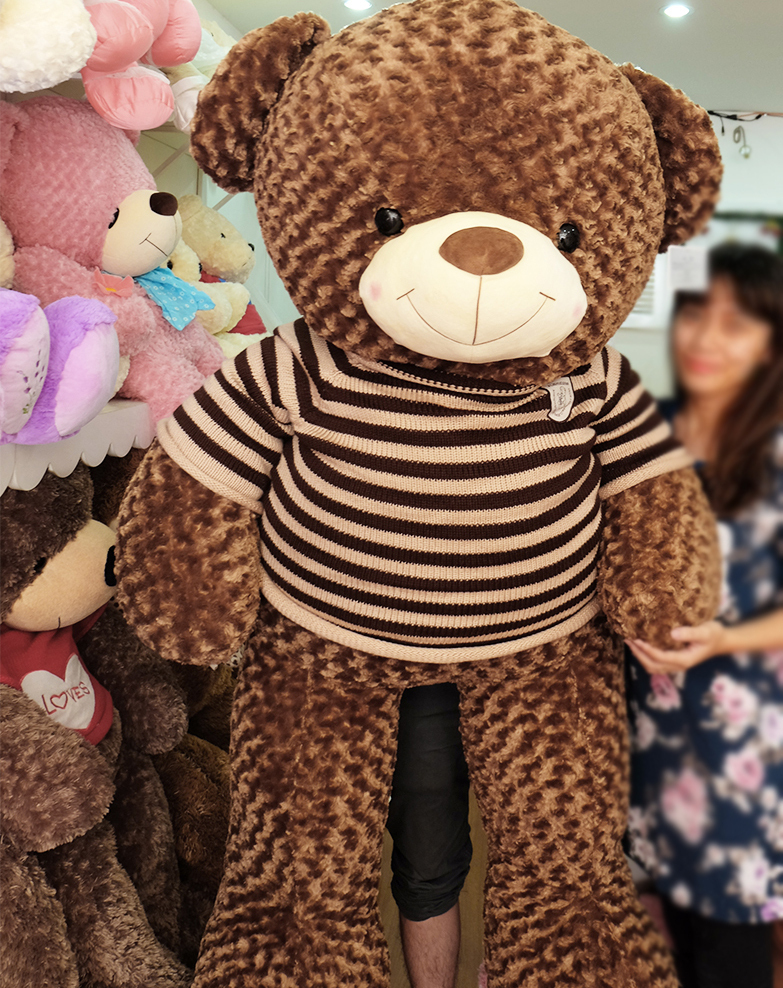 Gấu bông áo len cao cấp Teddy Choco  - gấu bông đẹp hà nội