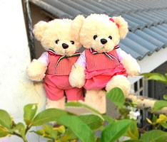 Gấu bông cặp cao cấp lông xoắn áo hồng 