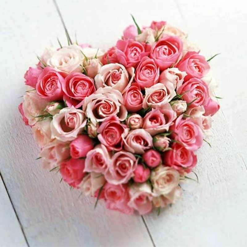 hoa tình yêu - Pink heart