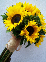 Sunflower VC29